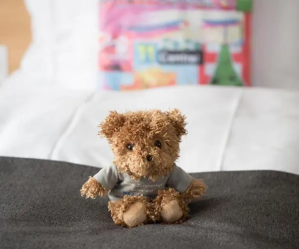 Western Zuercherhof زيورخ